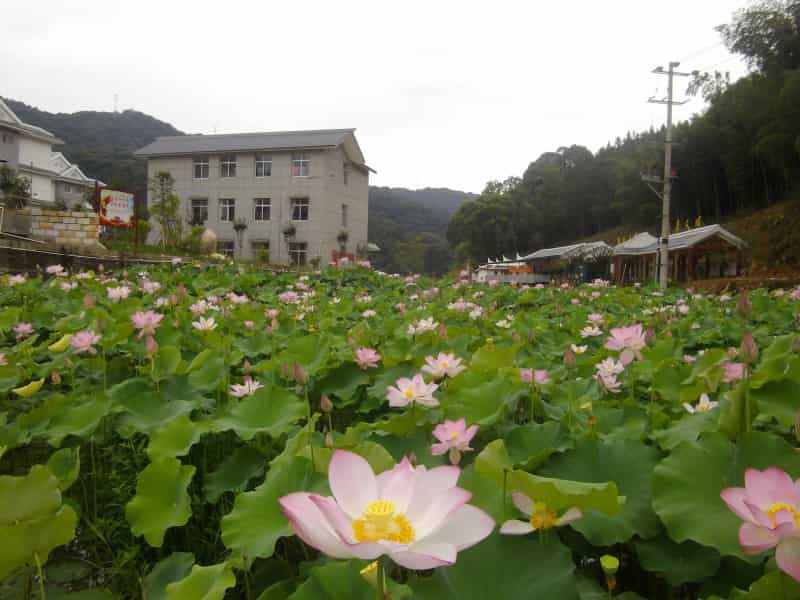 龙岩市新罗区雁石镇益坑村