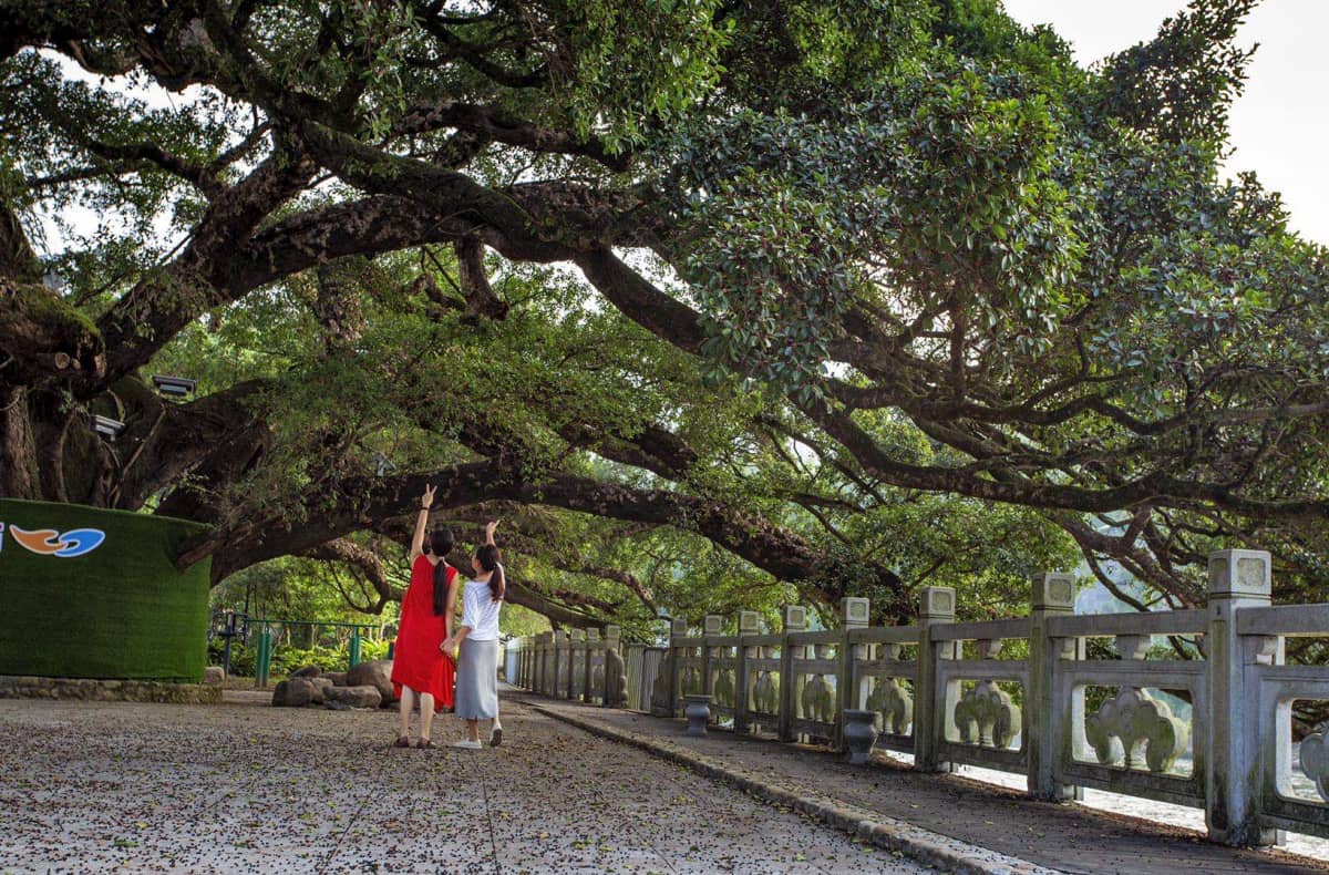 宁德福安市潭头镇棠溪村