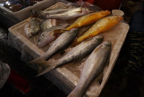 三沙印象：八闽大地有着古老传承有台湾商品，有新鲜鱼虾还有那些卖菜老人 ，这就是三沙