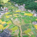 泉州市永春县五里街镇埔头村