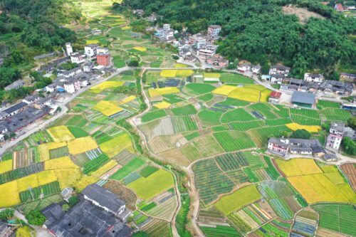 泉州市永春县五里街镇埔头村