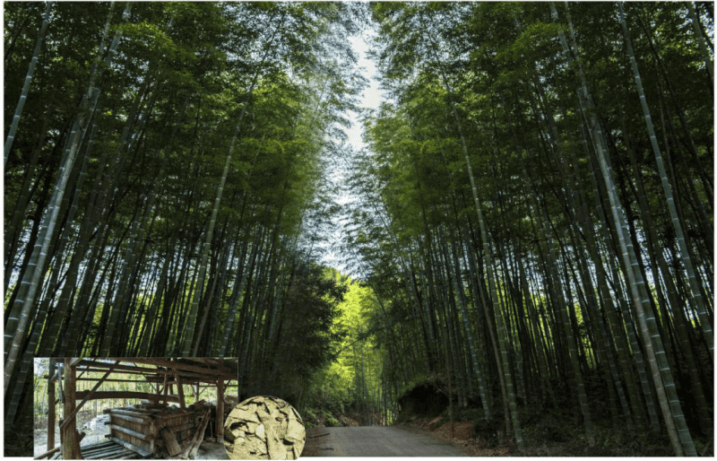 三明市泰宁县大田乡大田村