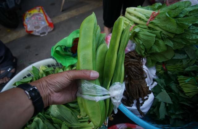 三沙印象:八闽大地有着古老传承有台湾商品,有新鲜鱼虾还有那些卖菜老人 ,这就是三沙