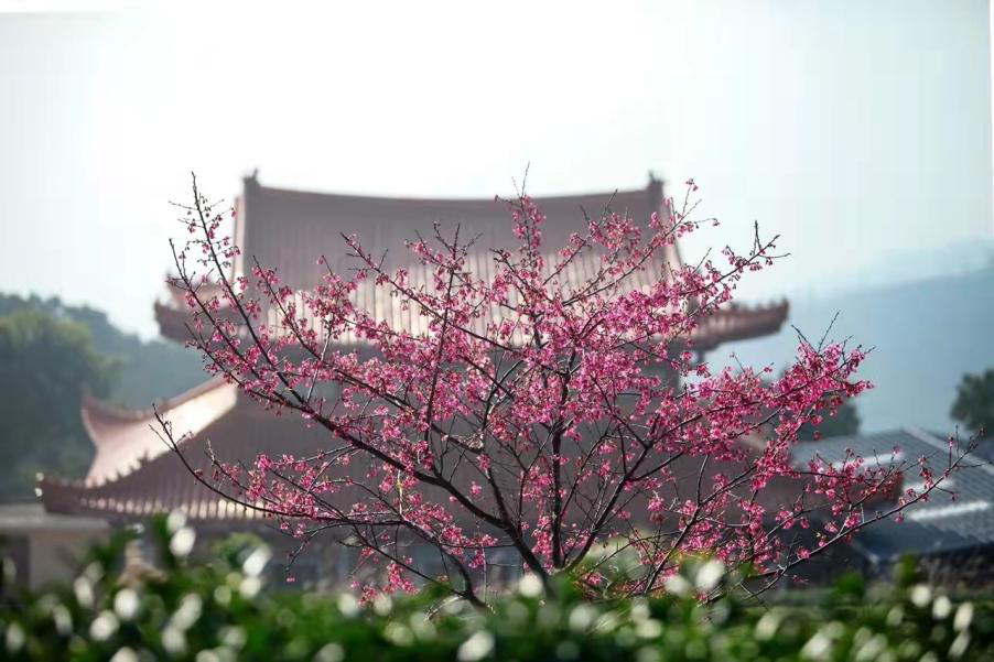 厦门市翔安区内厝镇锄山村