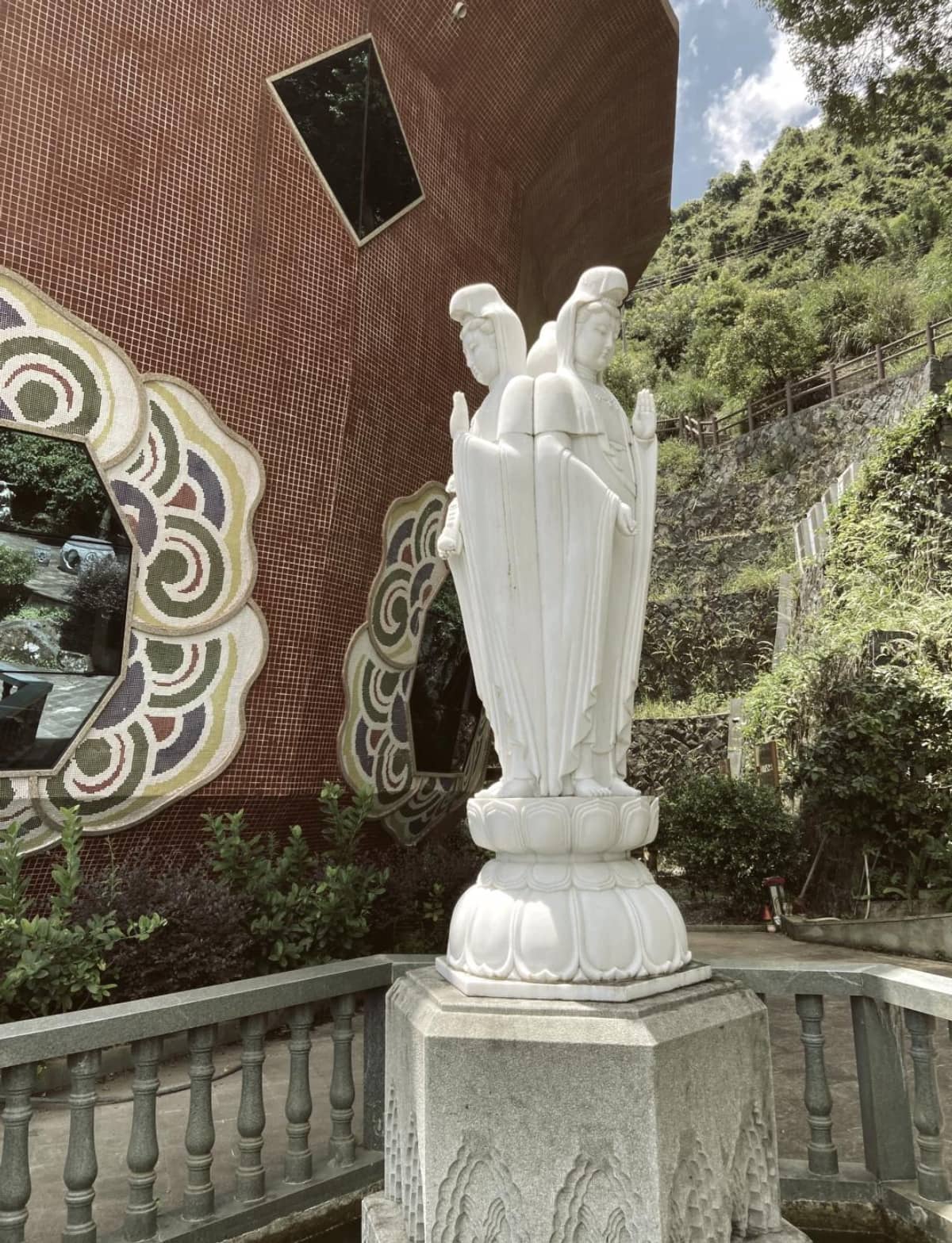 🌱福建安溪：铁观音的正宗发源地🍵