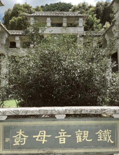 🌱福建安溪：铁观音的正宗发源地🍵