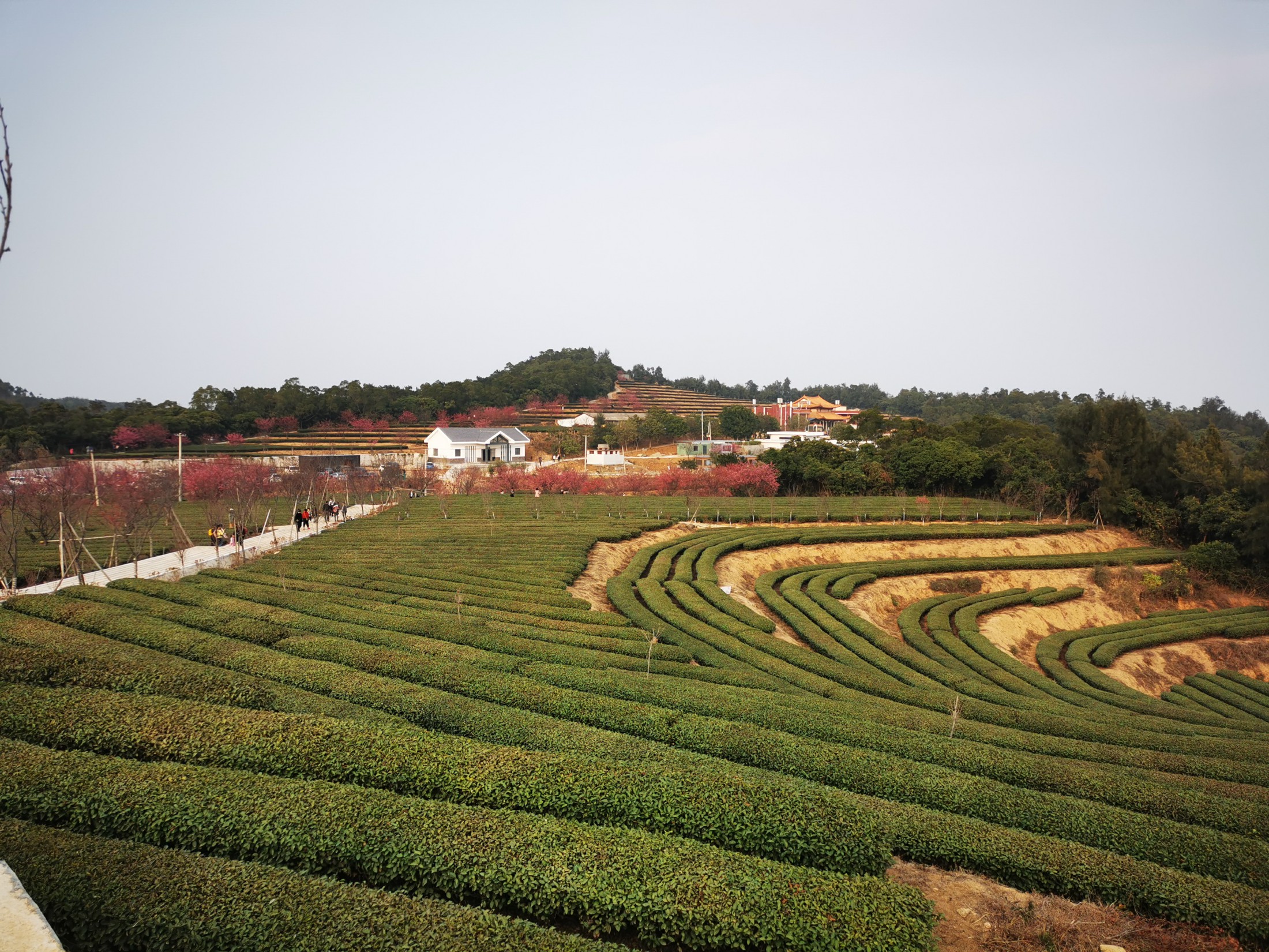 厦门市翔安区内厝镇锄山村