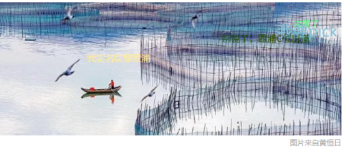 你还不知道吧？霞浦这座小城的美食比滩涂还要惊艳！！