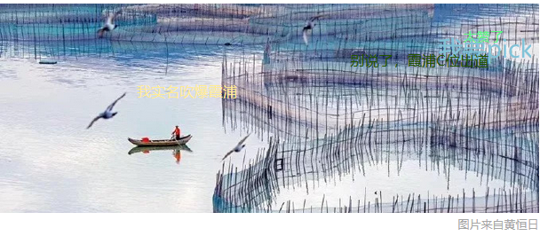 你还不知道吧？霞浦这座小城的美食比滩涂还要惊艳！！