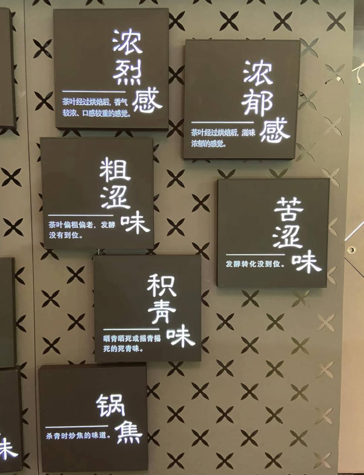 🌱福建安溪：铁观音的正宗发源地🍵