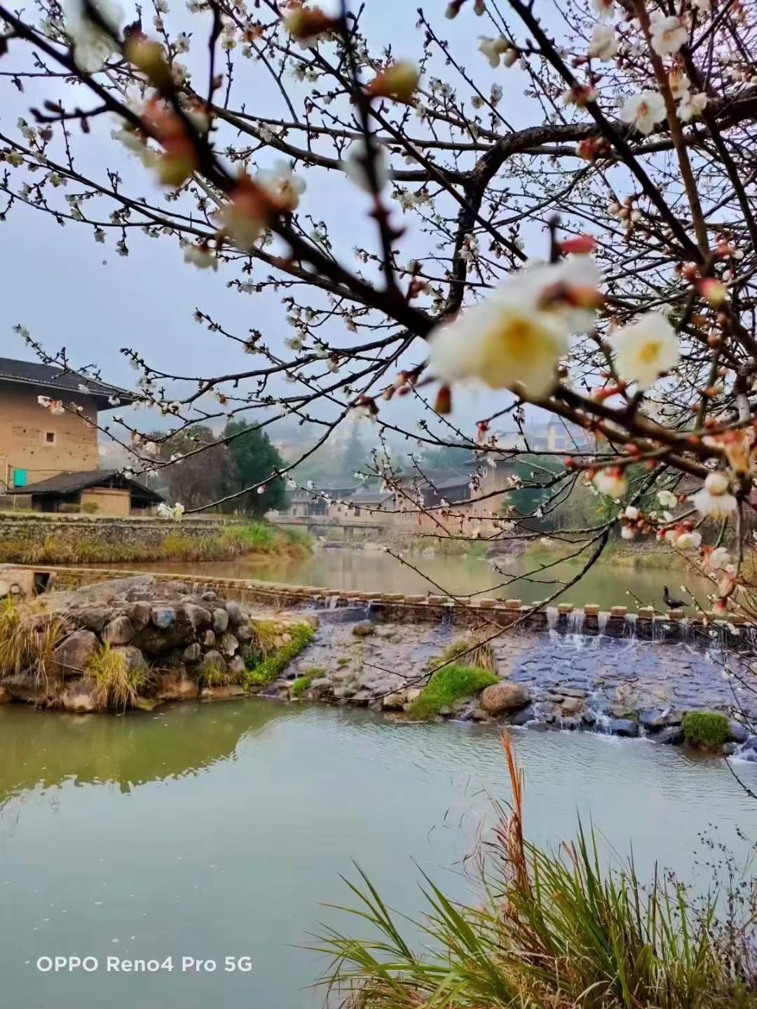 漳州市南靖县书洋镇石桥村