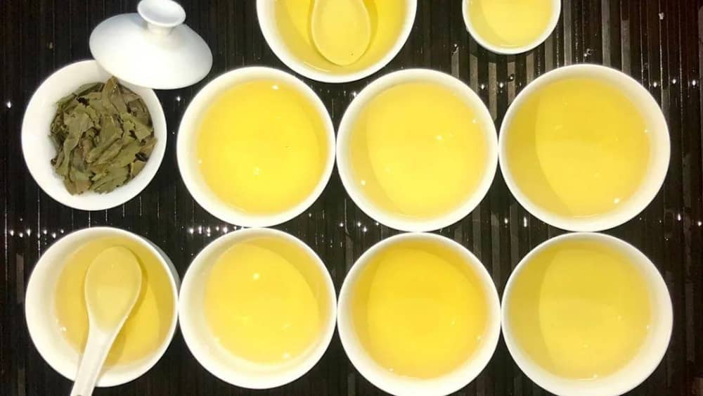 安溪铁观音:“三茶”统筹谋新篇 带你读懂安溪铁观音