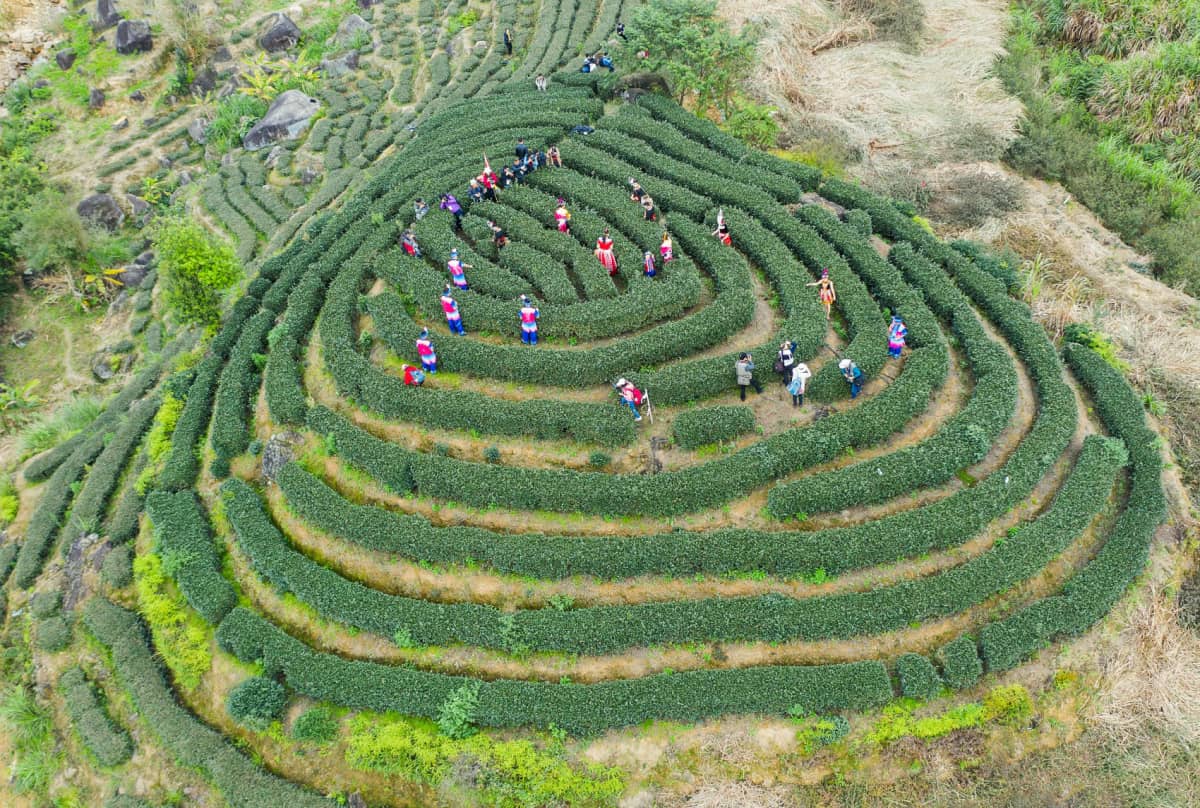 漳州市华安县新圩镇官畲村