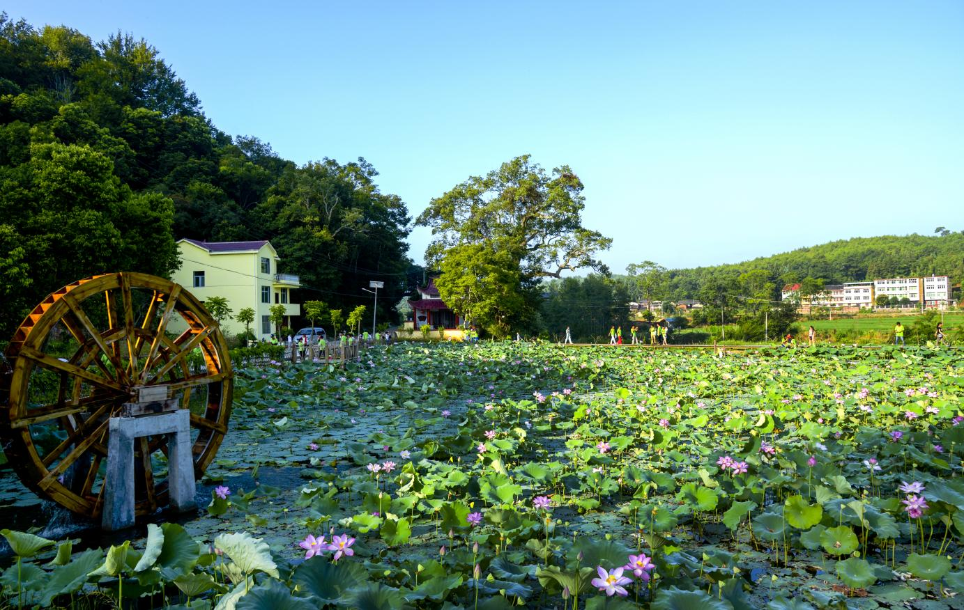 三明市沙县区夏茂镇俞邦村