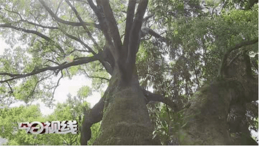 莆田市仙游县书峰乡兰石村