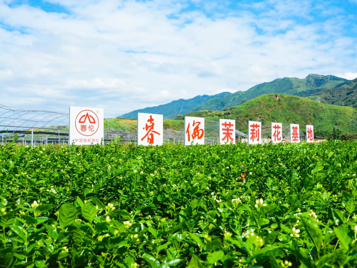 福州市永泰县梧桐镇春光村