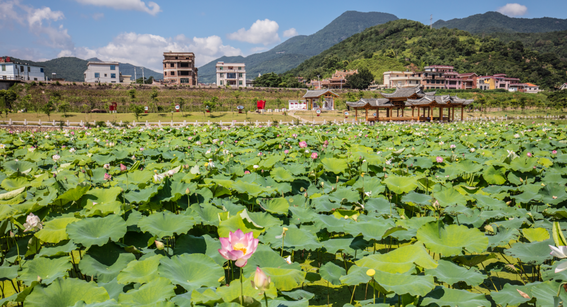 泉州市安溪县城厢镇经兜村