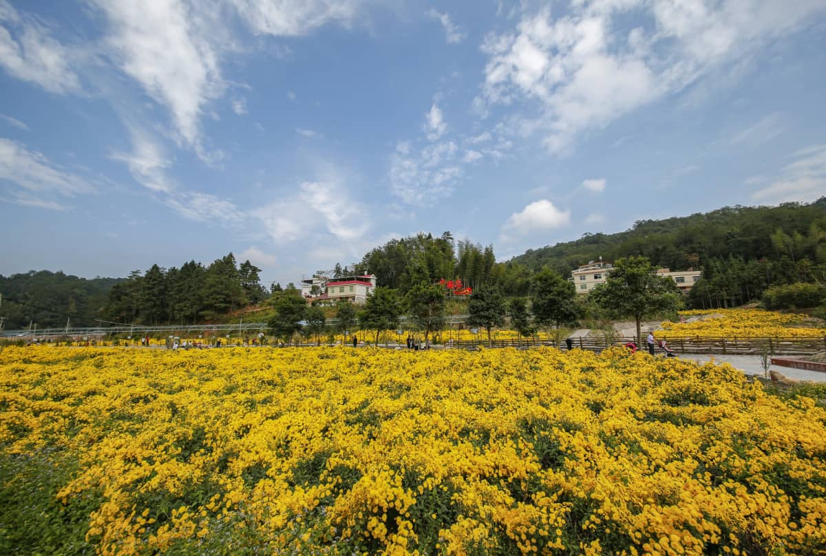 龙岩武平县万安镇捷文村