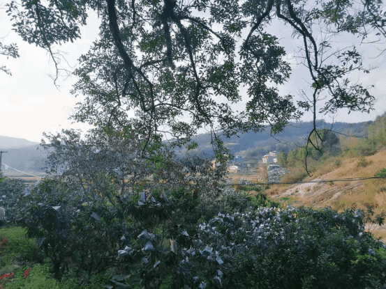 莆田市仙游县书峰乡兰石村