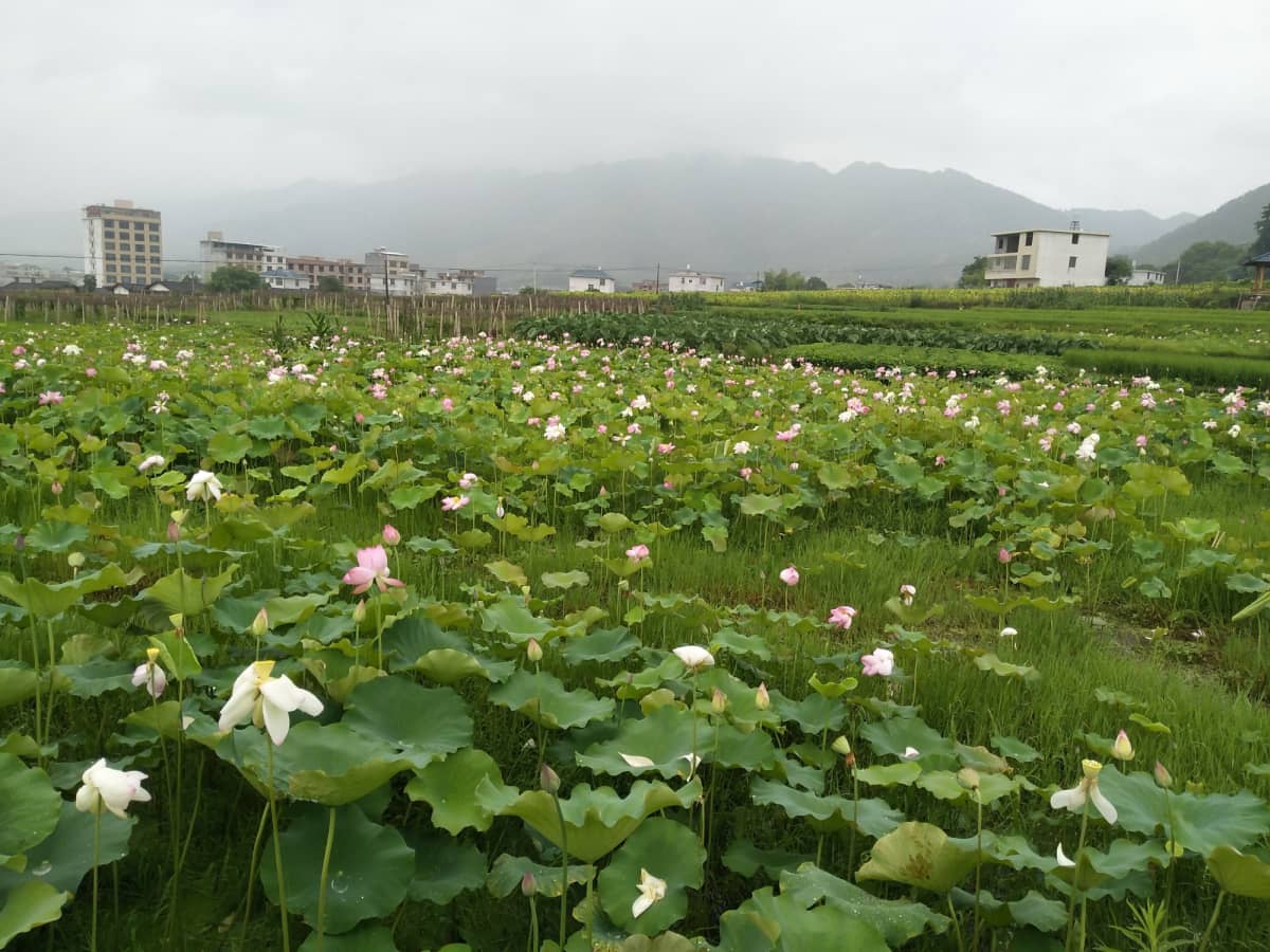 龙岩市长汀县南山镇中复村