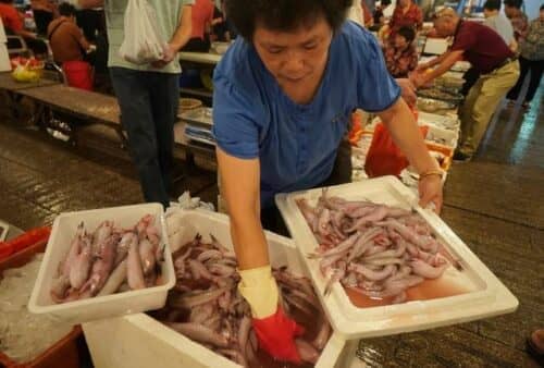 霞浦三沙：文化旅游与物产资源的璀璨交汇