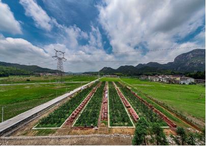 莆田市仙游县钟山镇朗桥村