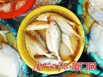 满街尽是“野生黄花鱼”? 三招教你辨认真野生