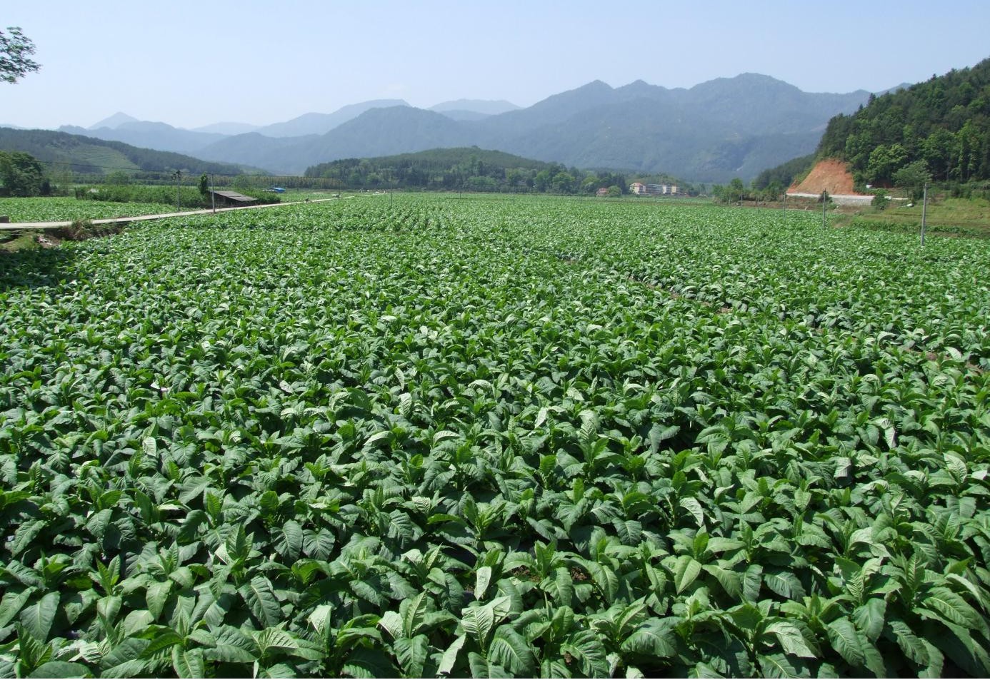 三明市沙县区夏茂镇俞邦村