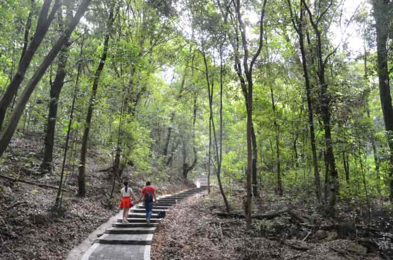 龙岩市新罗区雁石镇益坑村