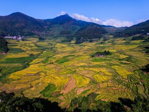三明市尤溪县联合镇云山村