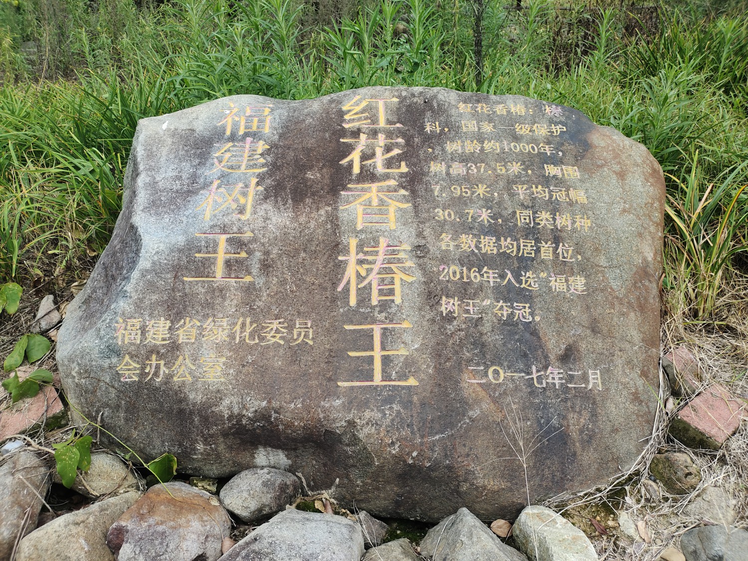 漳州市南靖县书洋镇石桥村