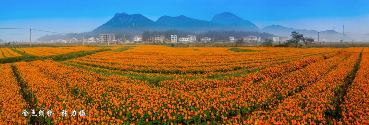 莆田市仙游县钟山镇朗桥村