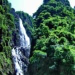 八闽霞浦这些神奇的“龙”藏不住了