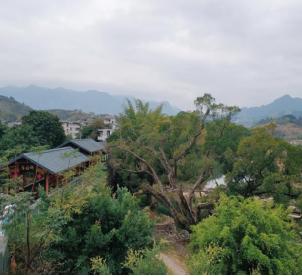 福州市永泰县梧桐镇春光村