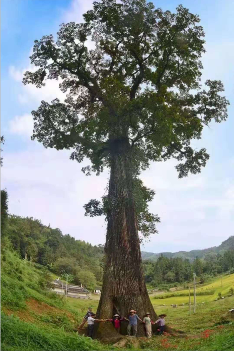漳州市南靖县书洋镇石桥村