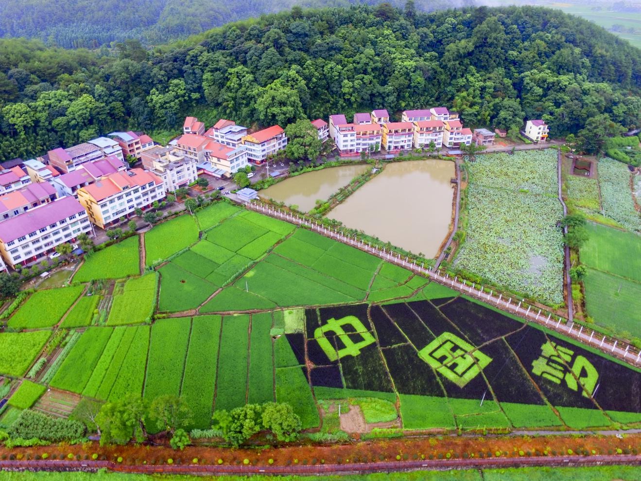 三明市沙县区夏茂镇俞邦村