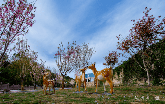 莆田市仙游县书峰乡兰石村