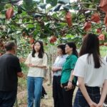 “海归英才八闽行”走进宁德古田县