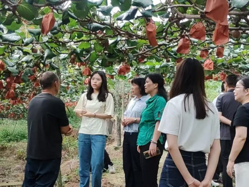 “海归英才八闽行”走进宁德古田县