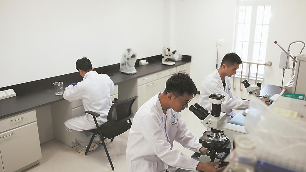 福鼎市通过实施“鼎鱼计划”等,有力促进种业科技创新和振兴,打通“从海洋到餐桌”的全产业链条 金银共舞,“两条鱼”游出大产业