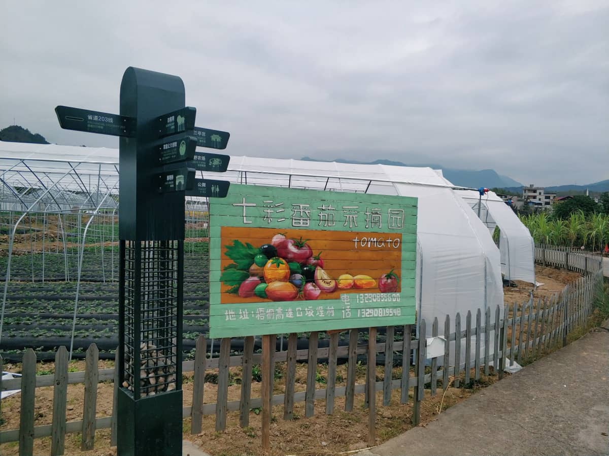 福州市永泰县梧桐镇春光村