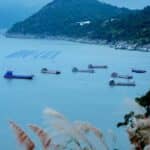 每一个周末都不可辜负