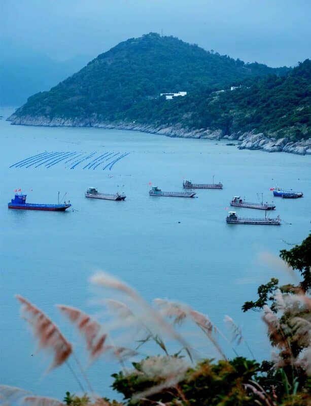 每一个周末都不可辜负