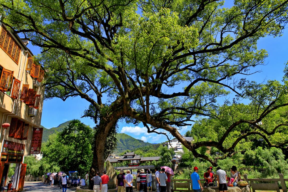 宁德市寿宁县犀溪镇西浦村