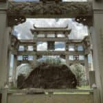 🌱福建安溪：铁观音的正宗发源地🍵