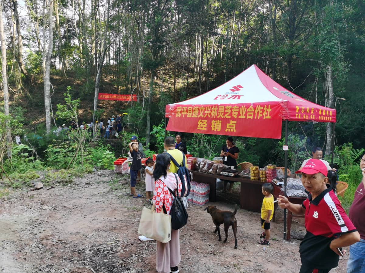 龙岩武平县万安镇捷文村