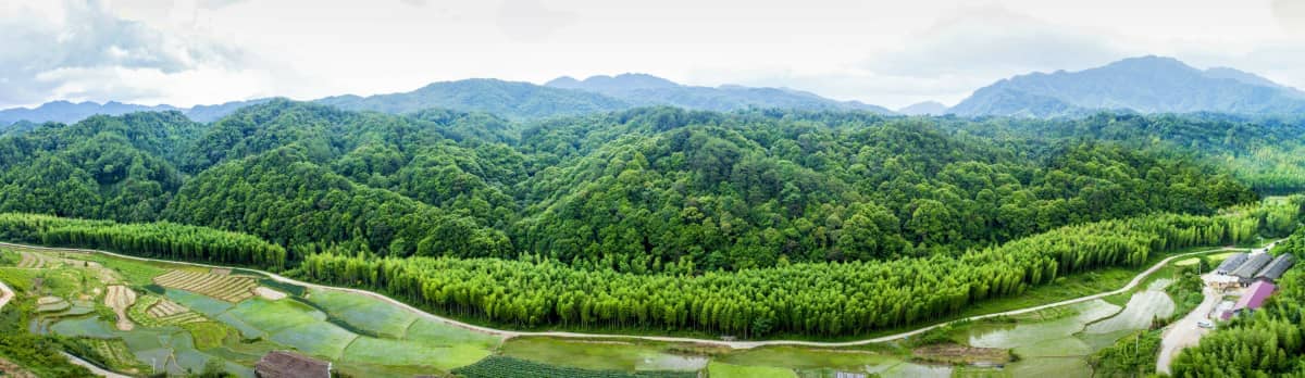 龙岩武平县万安镇捷文村