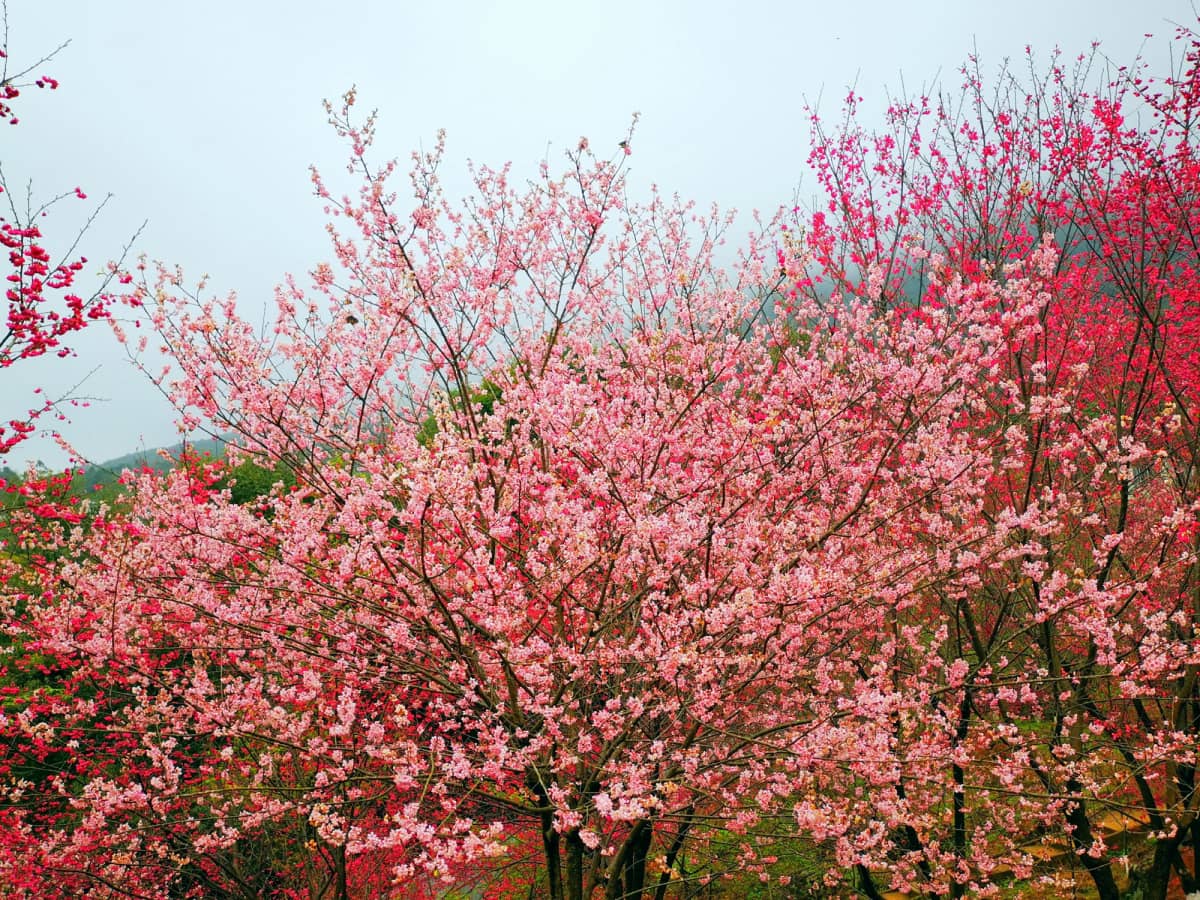 泉州市南安市英都镇良山村