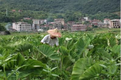 泉州市南安市英都镇良山村