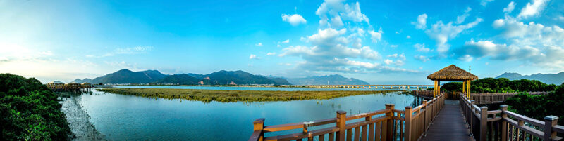 漳州云霄县东厦镇佳洲村